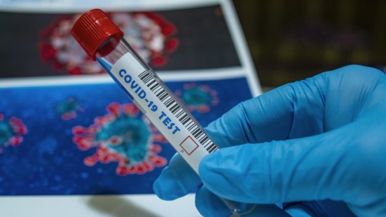 Снимка: Pixabay