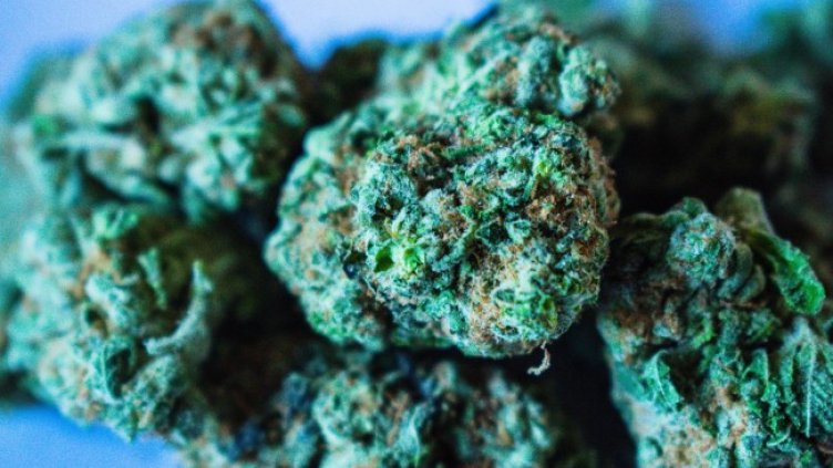 Снимка: Pixabay