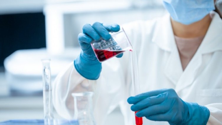 Снимка: Pixabay