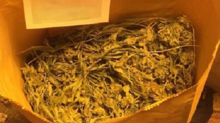 Снимка: МВР