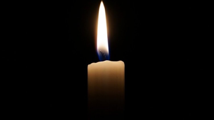 Снимка: Pixabay