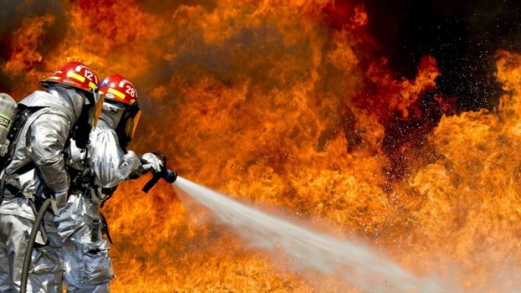 Снимка: Pixabay