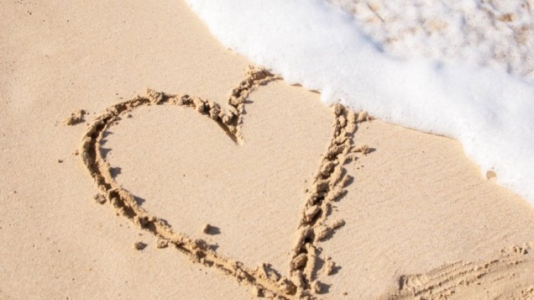 Снимка: Pexels