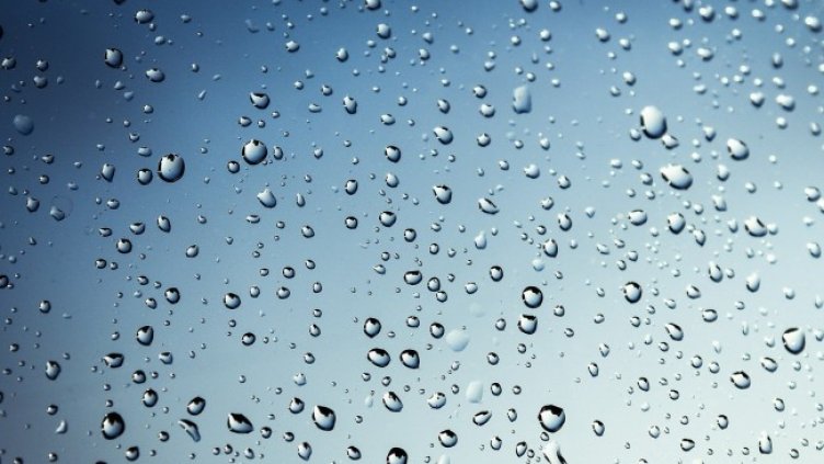 Снимка: Pixabay