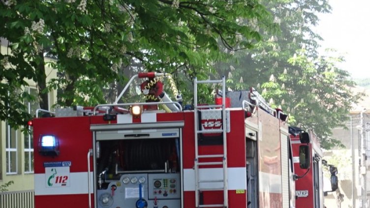 Снимка: БГНЕС