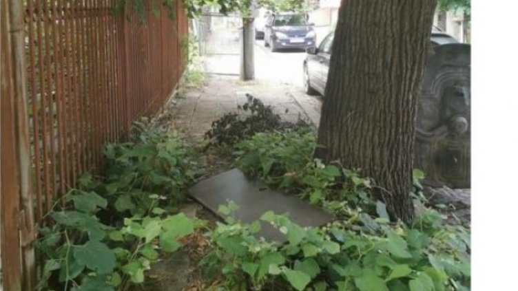 Снимка: Helpbook