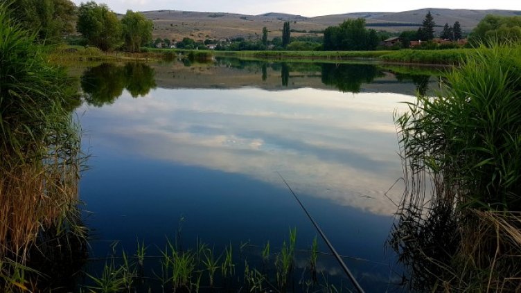 Снимка: архив, БГНЕС