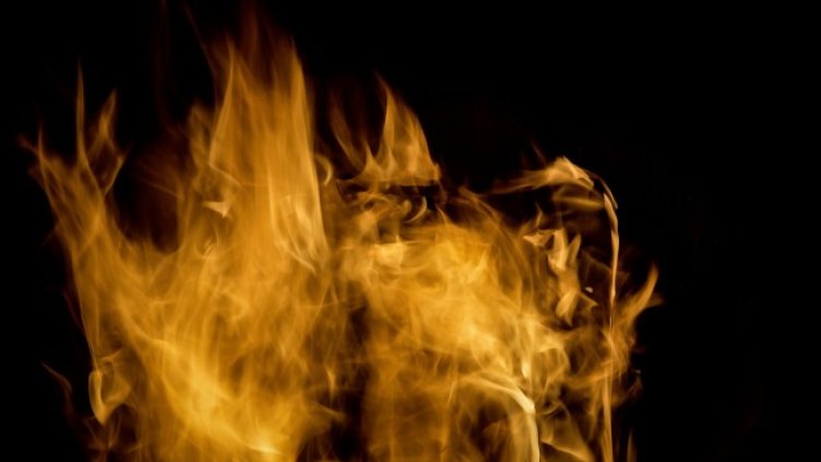 Снимка: Pixabay