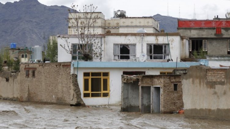 Снимка: архив, БГНЕС