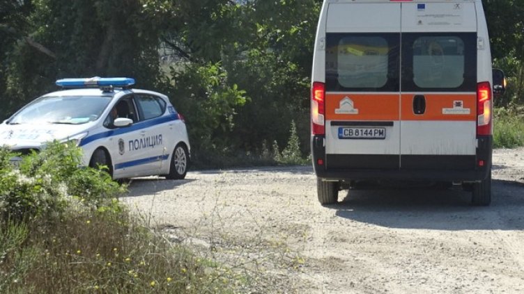 Снимка: БГНЕС