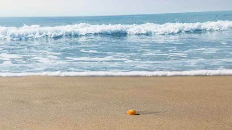 Снимка: Pixabay