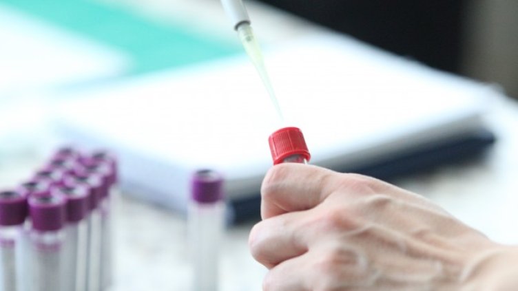 Снимка: архив, БГНЕС