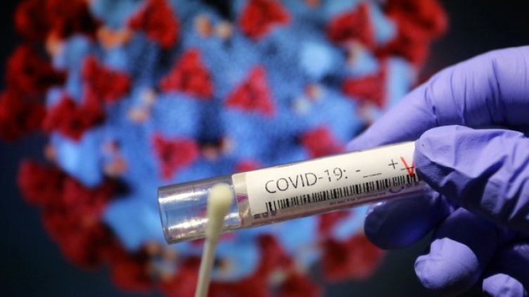 Снимка: архив, БГНЕС