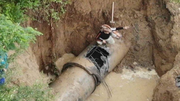 Снимка: архив, БГНЕС