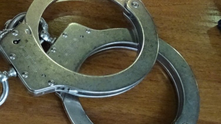 Снимка: архив, БГНЕС