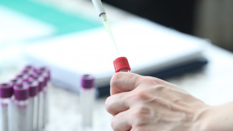 Снимка: архив, БГНЕС