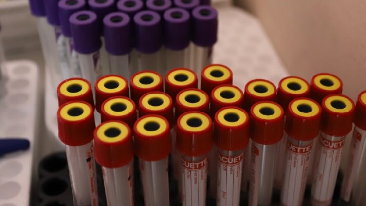 Снимка: архив, БГНЕС