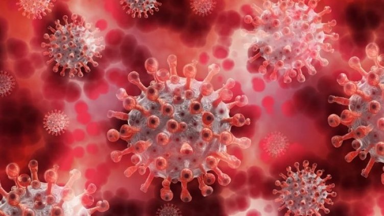 Снимка: Pixabay