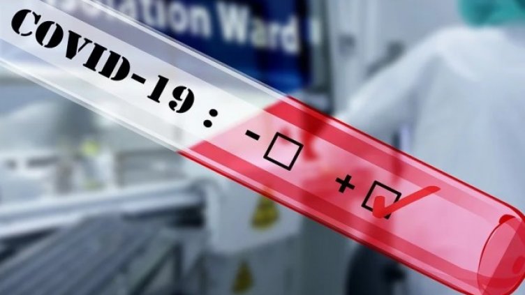 Снимка: Pixabay