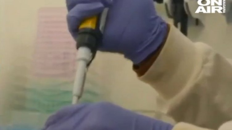 Снимка: Bulgaria ON AIR