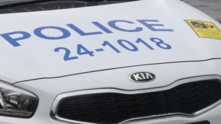 Снимка: архив, БГНЕС