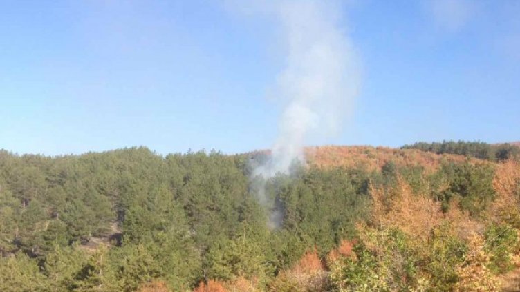 Снимка: архив, БГНЕС