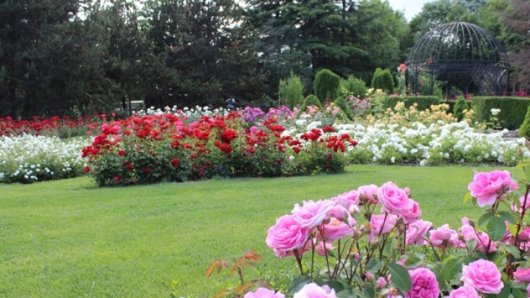 Снимка: Университетски ботанически градини