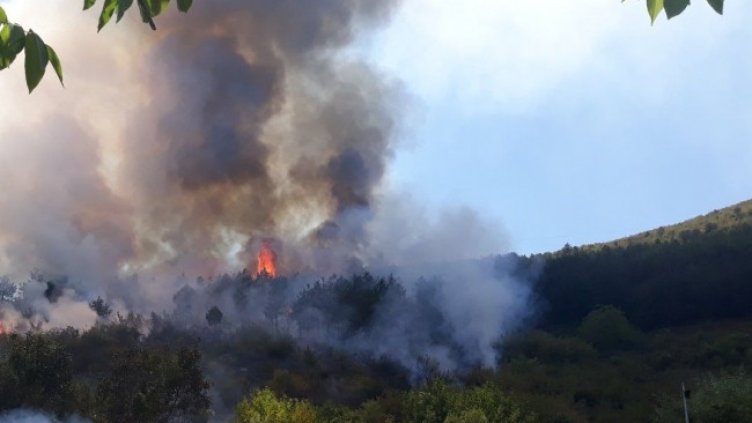 Снимка: БГНЕС