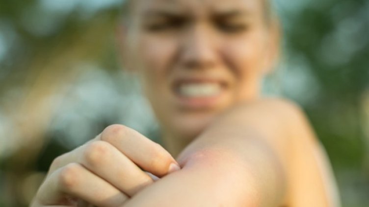 Снимка: Istock