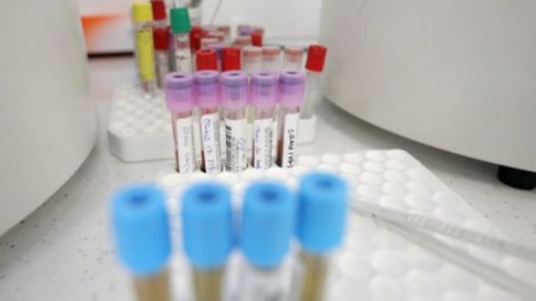 Снимка:Димитър Кьосемарлиев, Dnes.bg