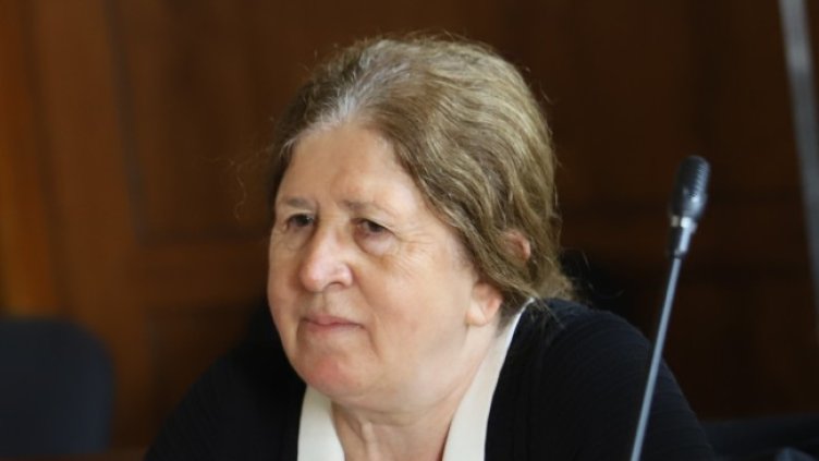 Снимка: архив, БГНЕС