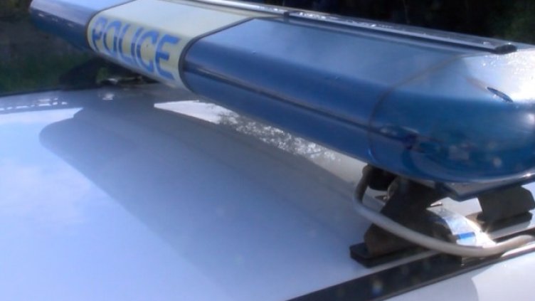 Снимка: архив, БГНЕС