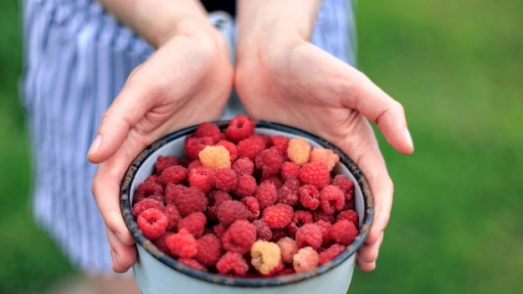 Снимка: Istock