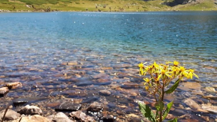 Снимка: архив, БГНЕС