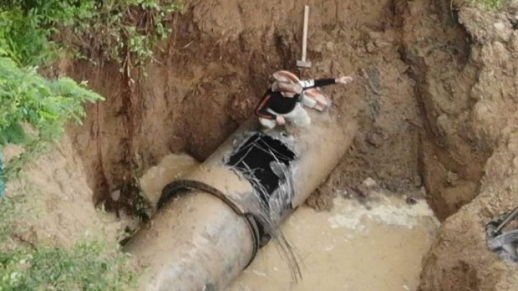 Снимка: архив, БГНЕС