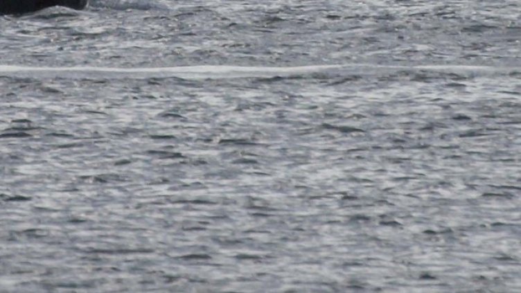 Снимка: архив, БГНЕС