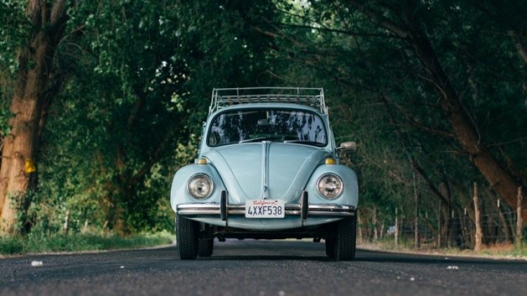 Снимка: Pixabay