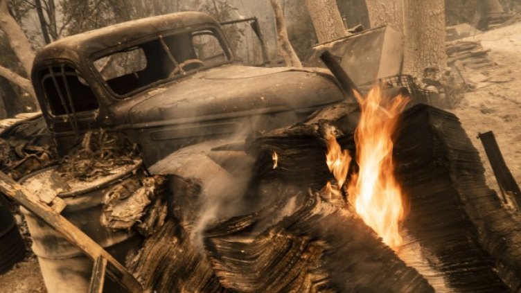 Снимка: архив, БГНЕС