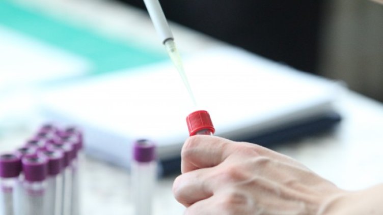 Снимка: архив, БГНЕС