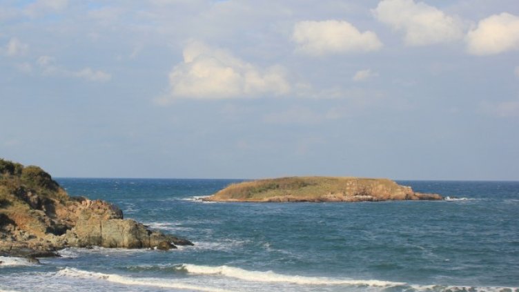 Снимка: Wikipedia