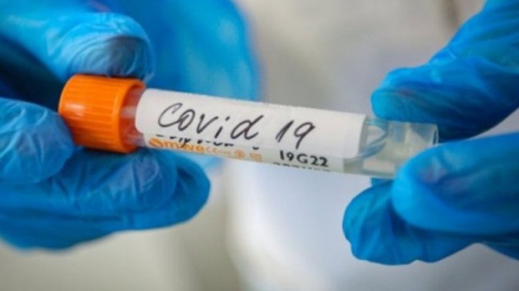 Снимка:Димитър Кьосемарлиев, Dnes.bg