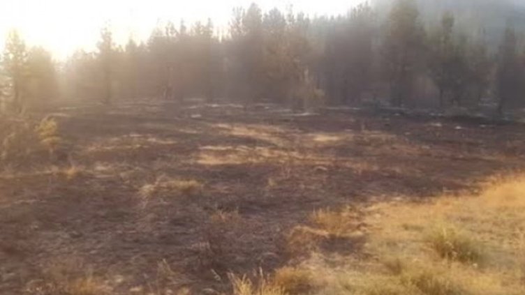 Снимка: Bulgaria ON AIR