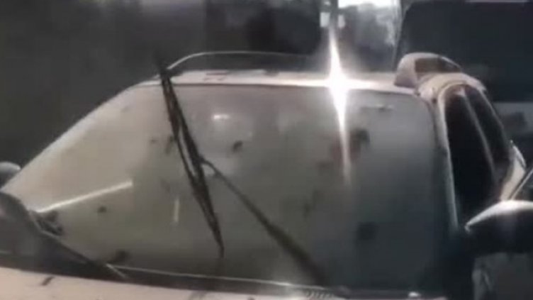 Снимка: Bulgaria ON AIR