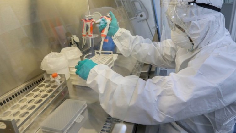 Снимка: архив, БГНЕС