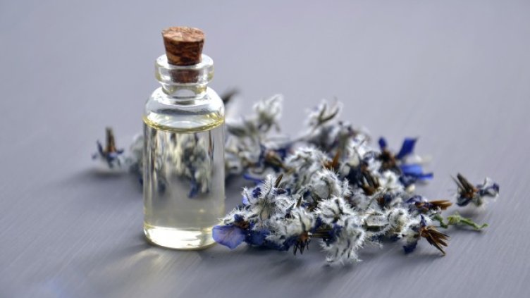 Снимка: Pixabay