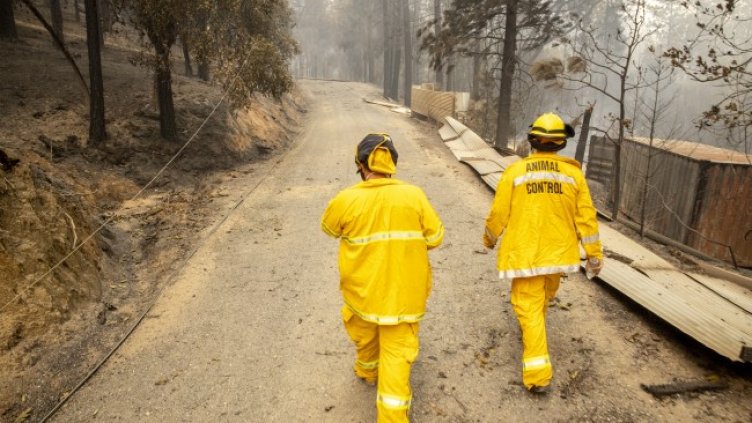 Снимка: БГНЕС