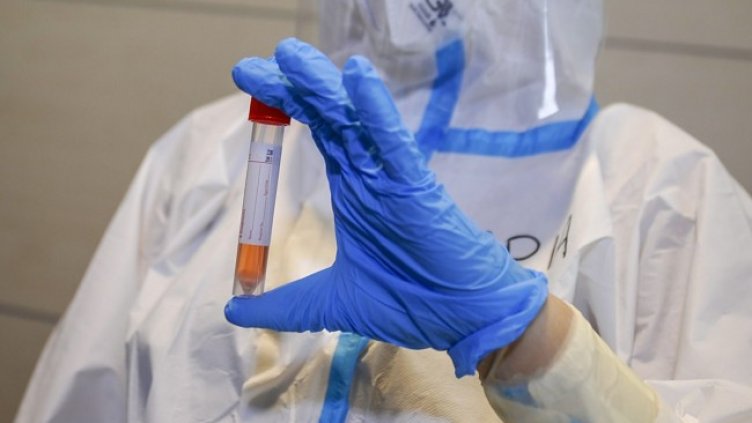 Снимка: архив, БГНЕС