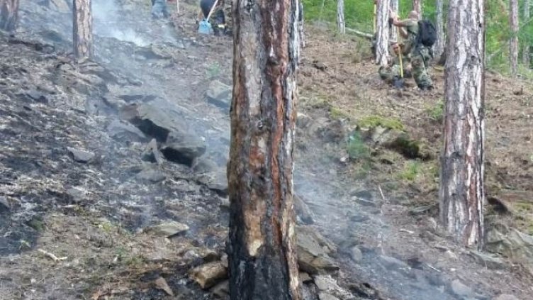 Снимка: архив, БГНЕС