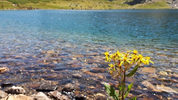 Снимка: архив, БГНЕС