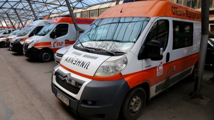 Снимка: архив, БГНЕС